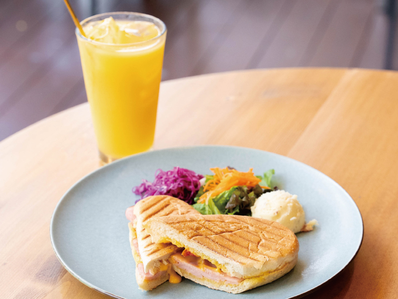 ハムとチェダーチーズのパニーニ